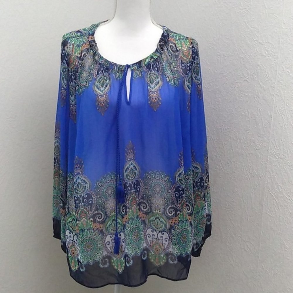 Rose & Olive Boho Style Long Sleeve Sheer Tunic